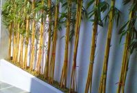 Bambu-Kuning