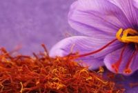 Manfaat-Bunga-Saffron
