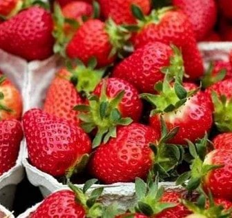 buah strawberry penambah darah