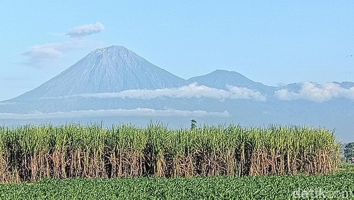 Sumber foto : detik.com